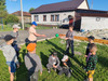 дети играют в игру одиннадцать